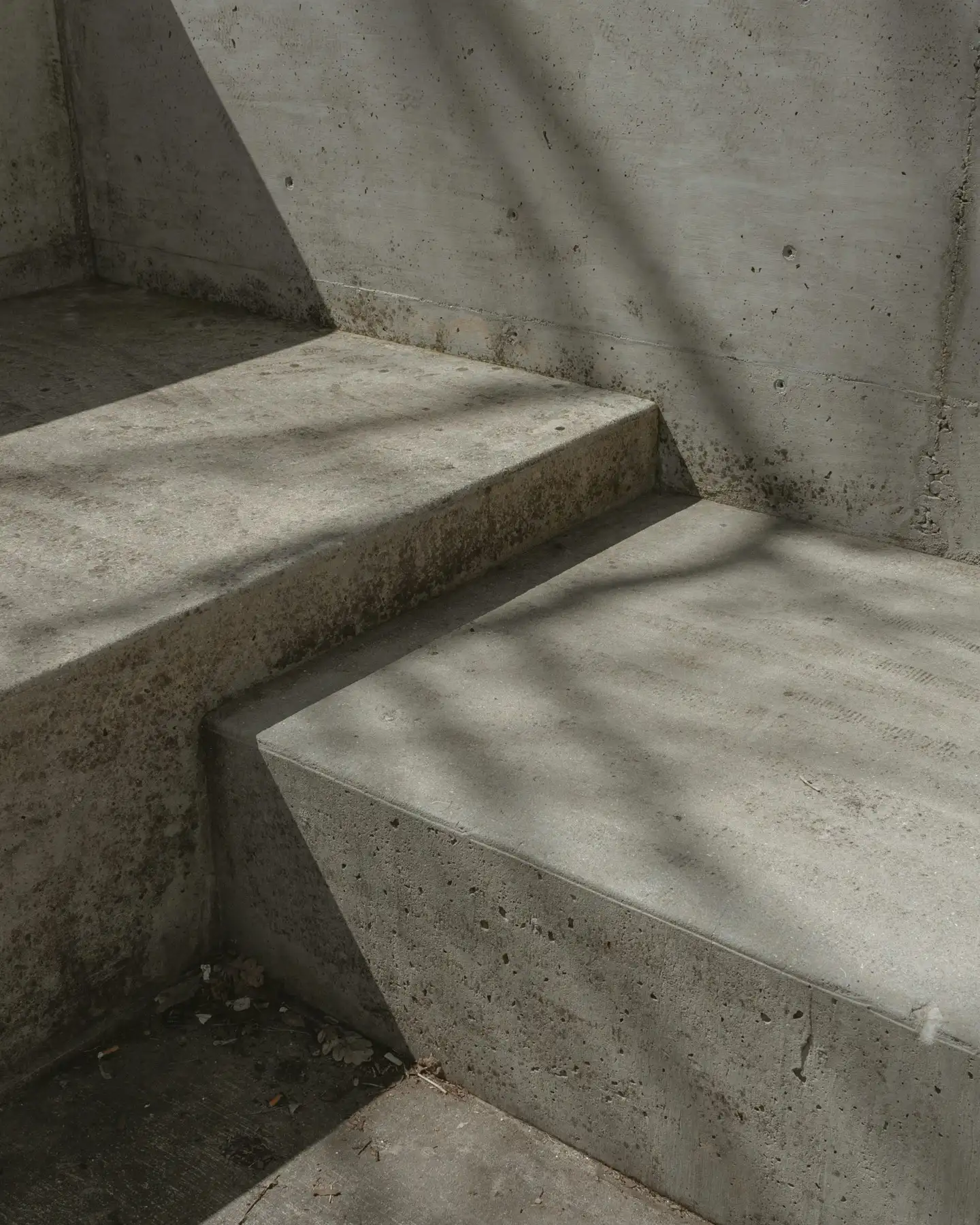 Concrete steps with soft tree shadows across the surface