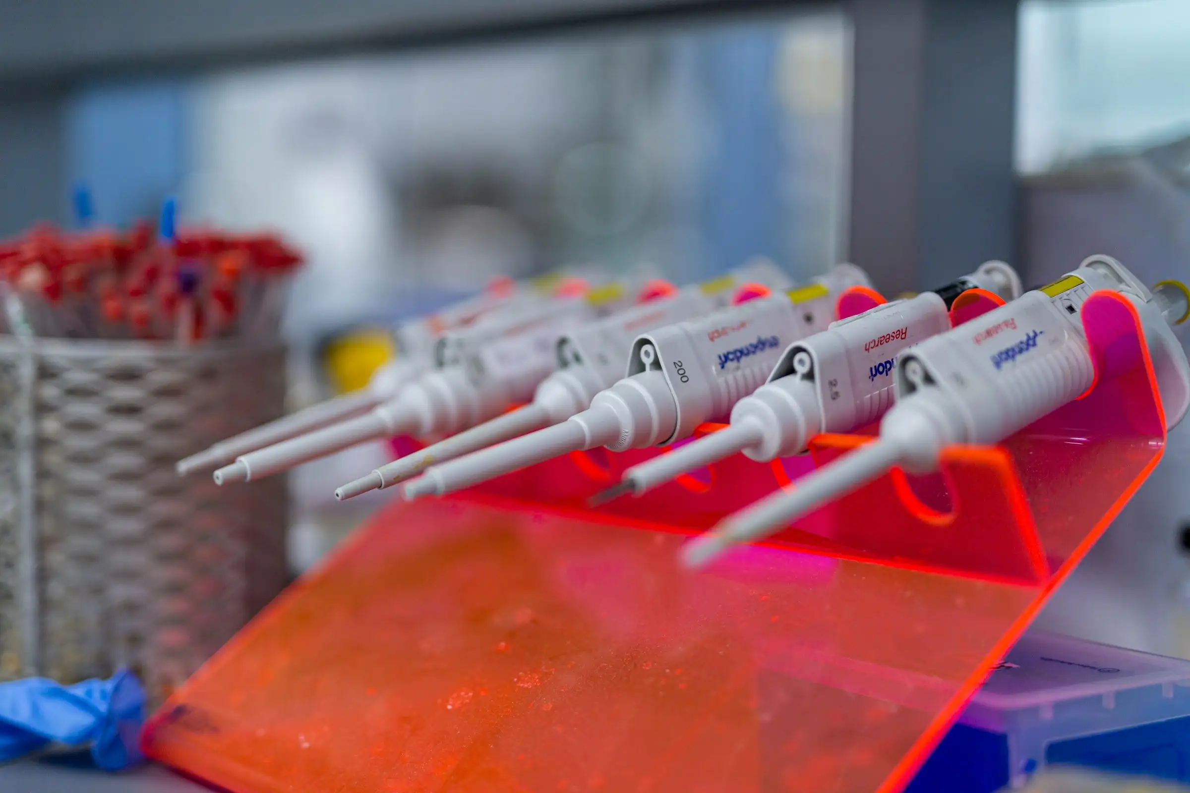 Row of laboratory pipettes on a stand